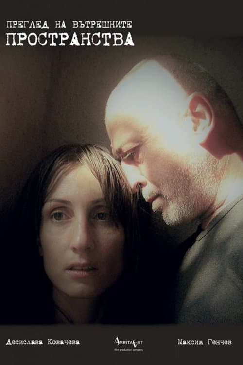 Poster REVIEW OF INNER SPACES