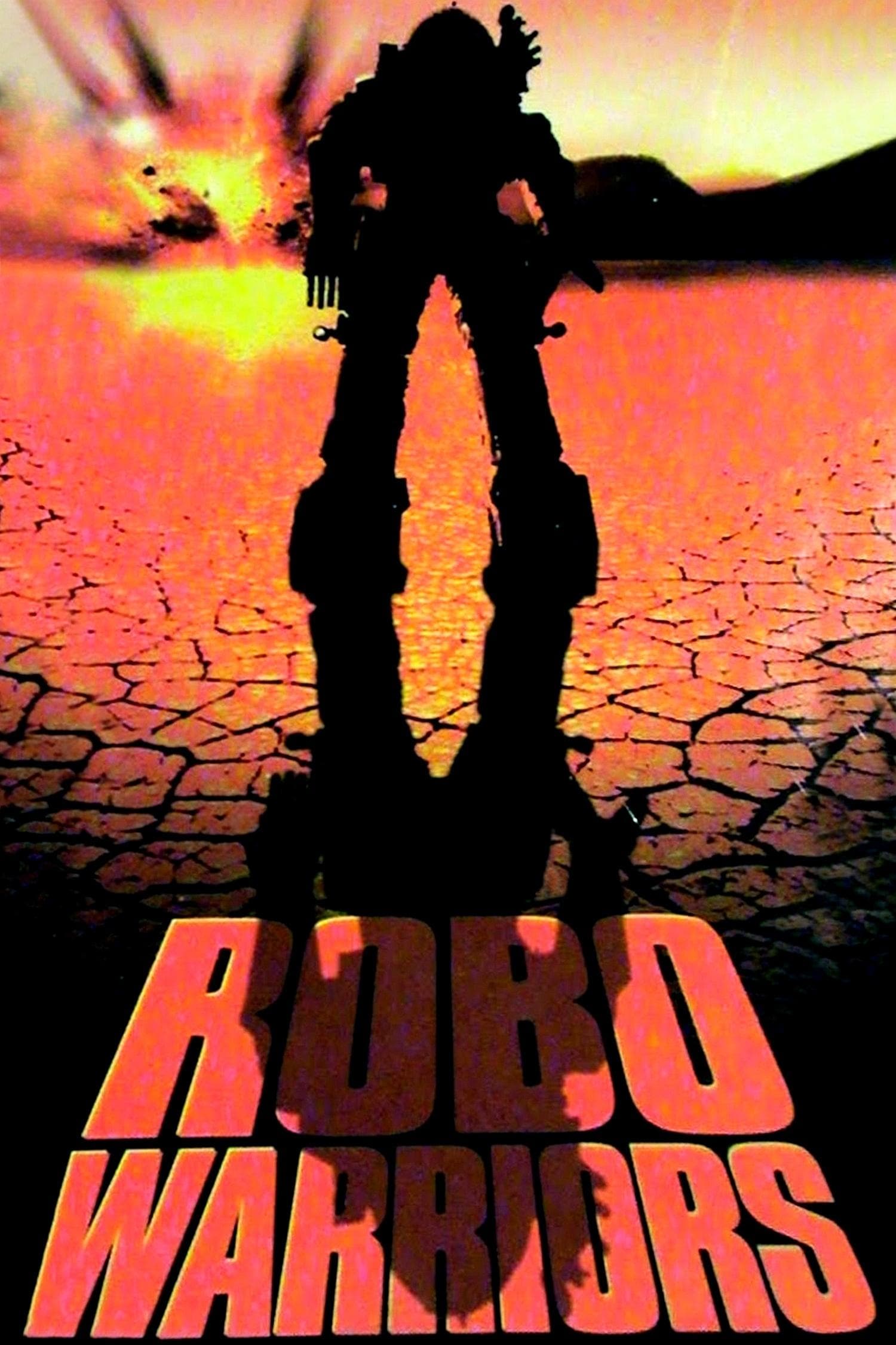 Poster Robo Warriors