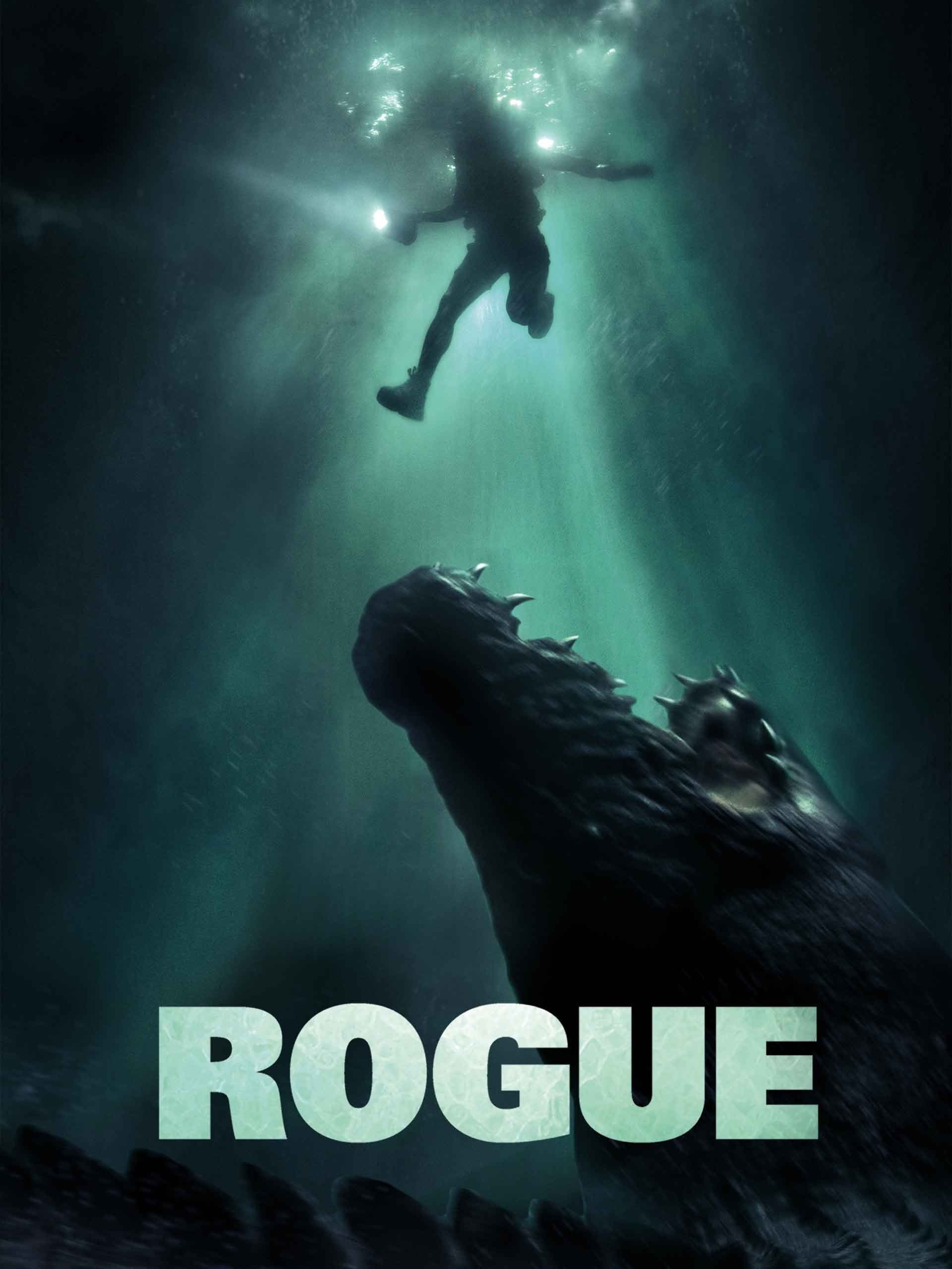 Poster Rogue
