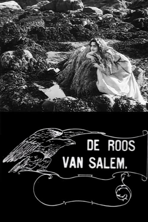 Poster Rose o' Salem Town