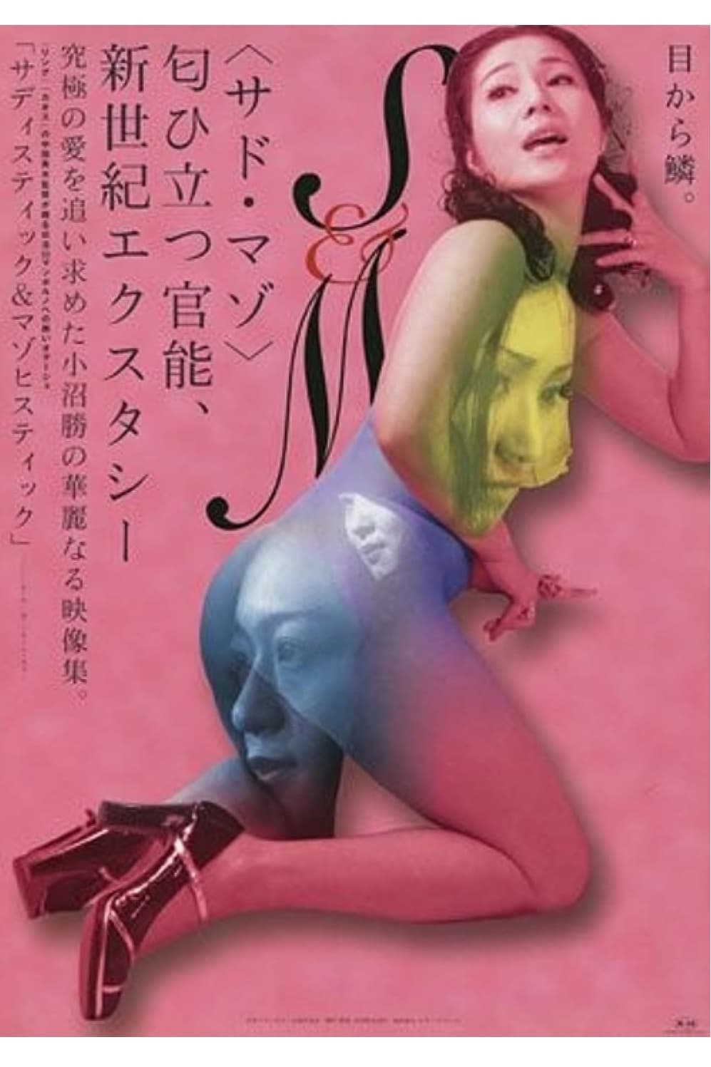 Poster Sadistic and Masochistic