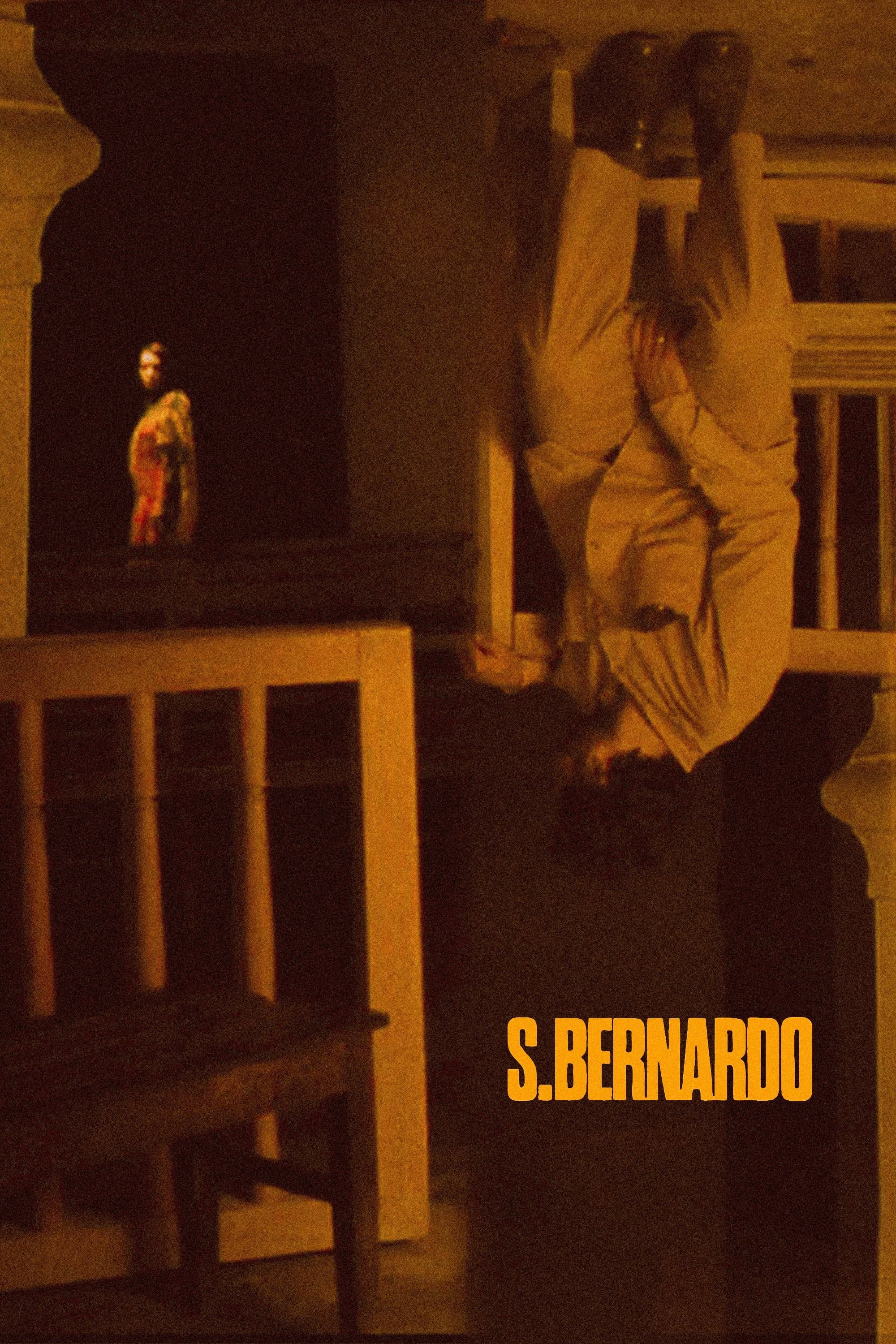 Poster Saint Bernard