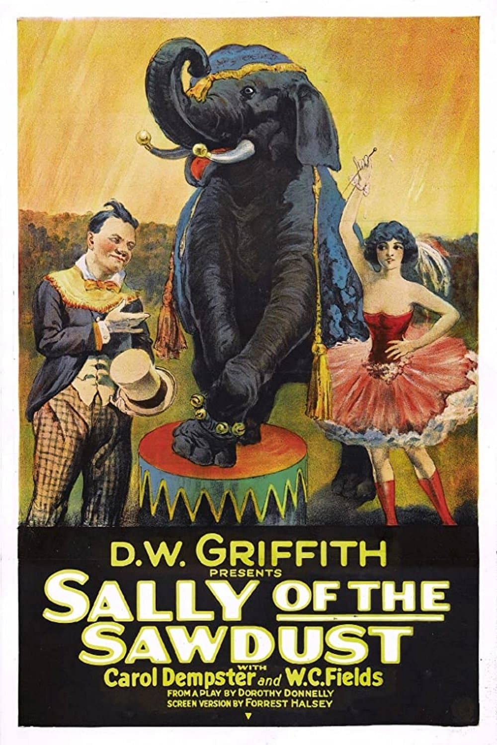 Poster Sally of the Sawdust