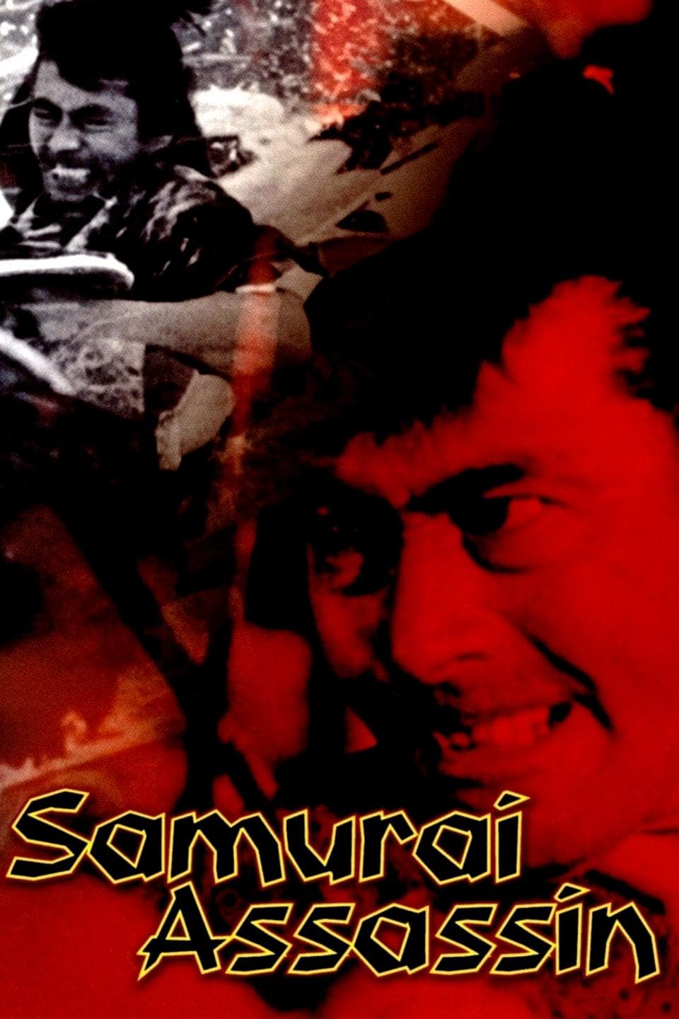 Poster Samurai Assassin
