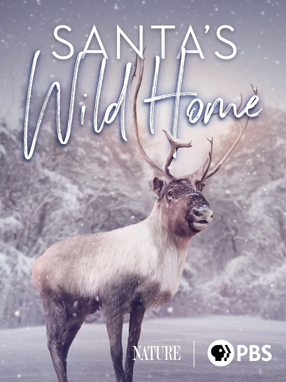 Poster Santa's Wild Home