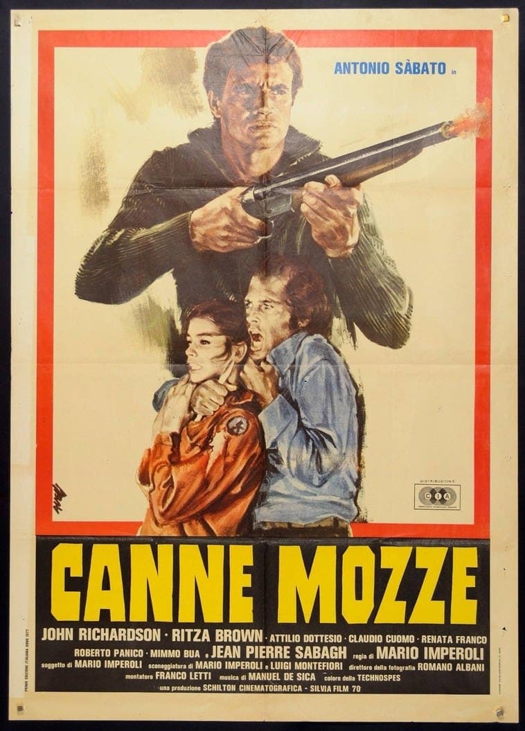 Poster Sawed-Off Shotgun