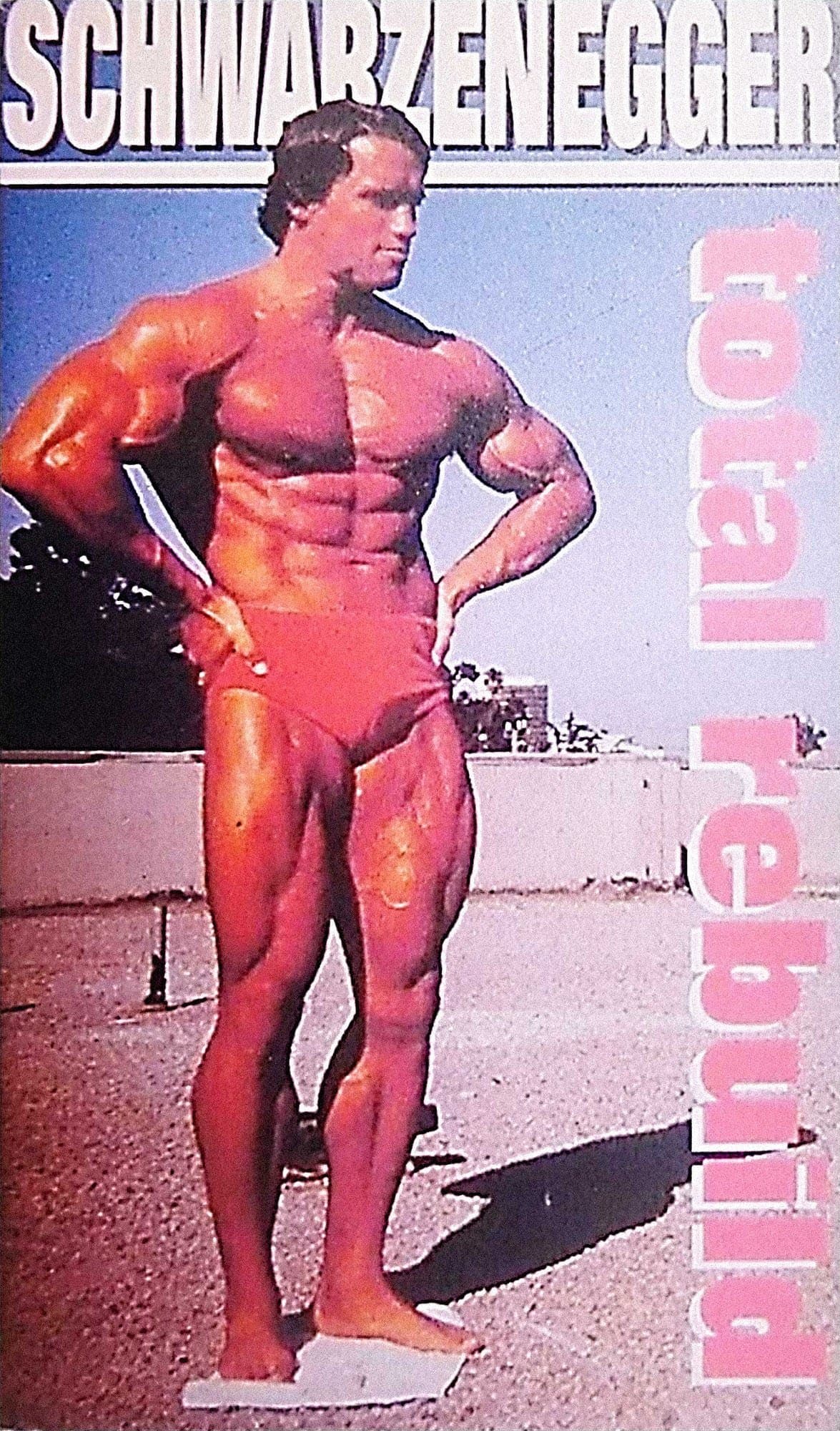Poster Schwarzenegger: Total Rebuild