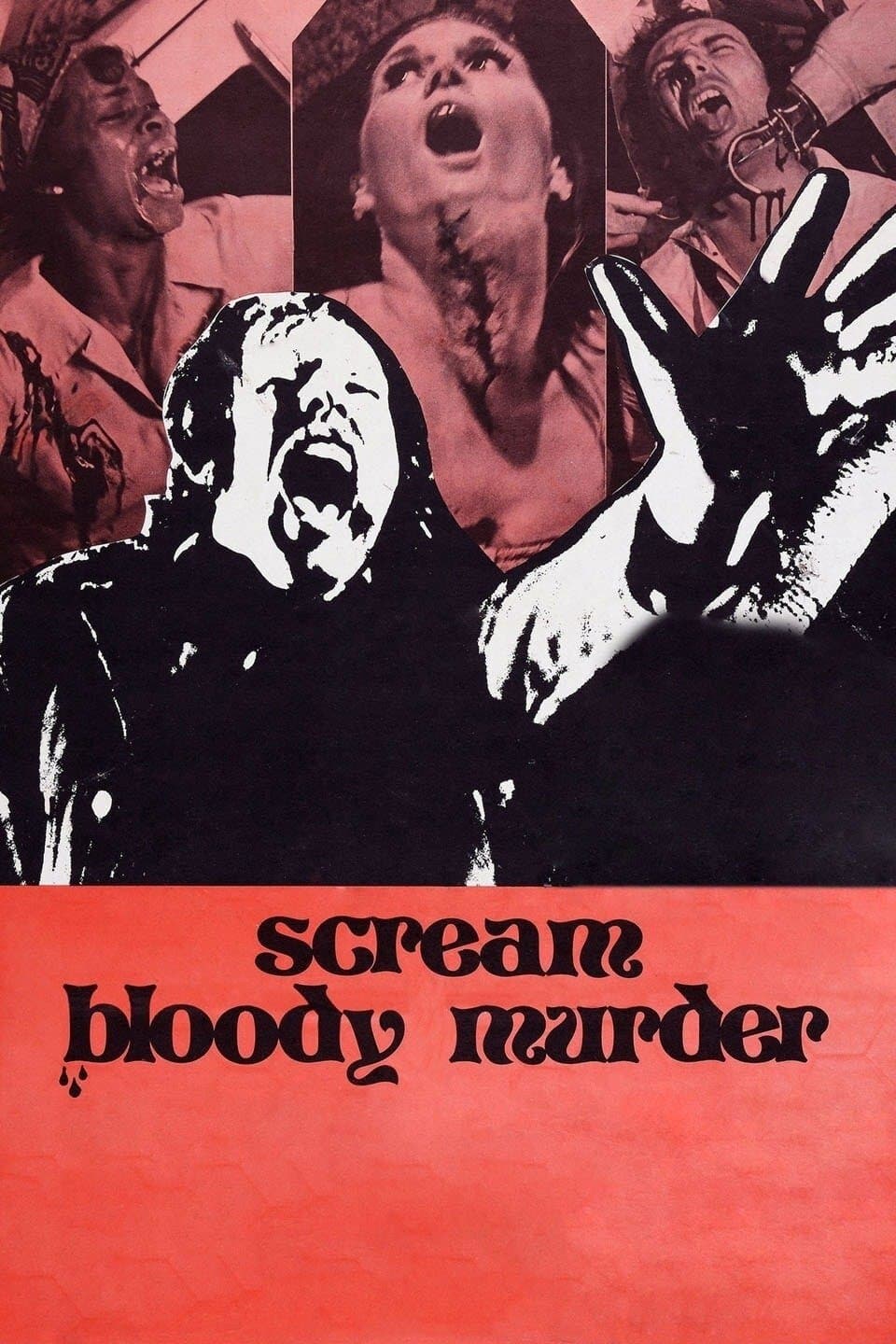 Poster Scream Bloody Murder