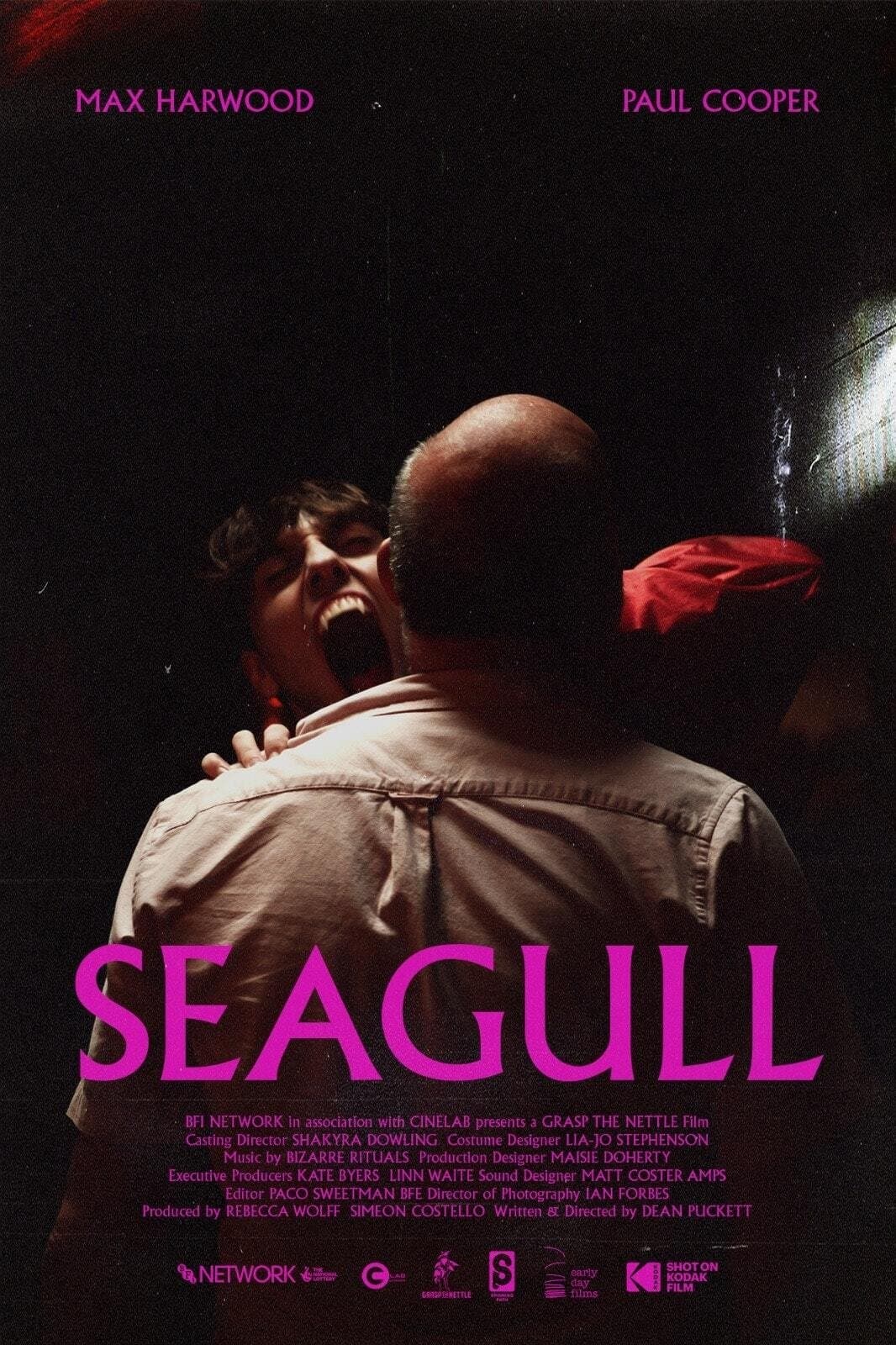 Poster Seagull