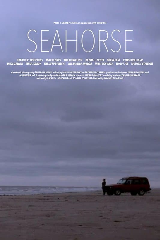Poster Seahorse