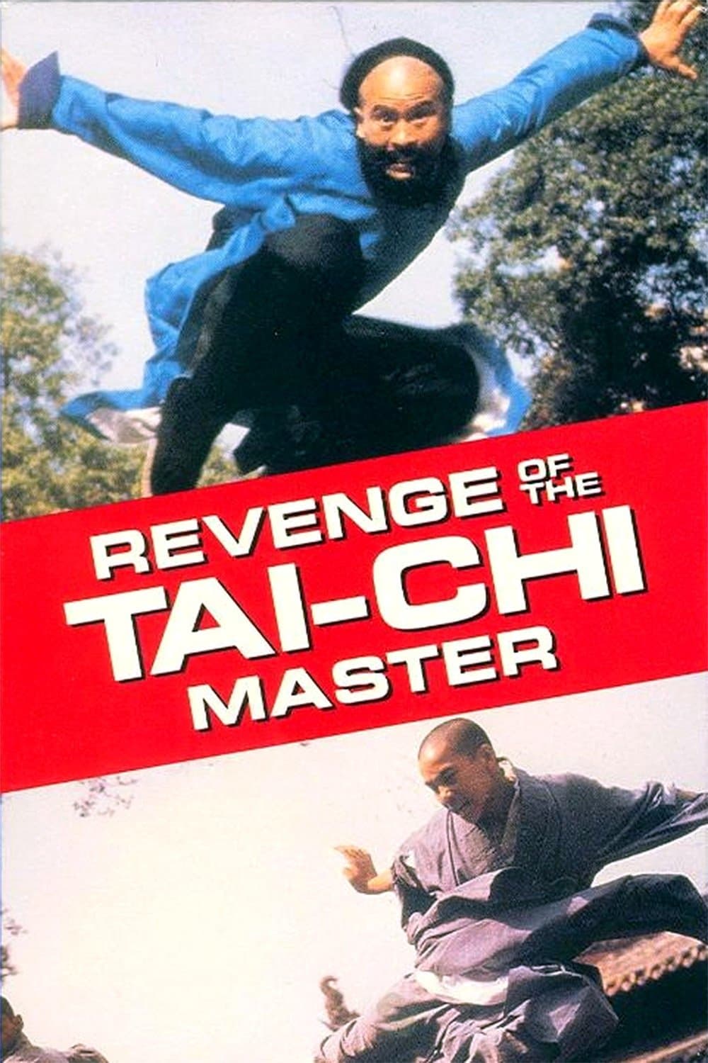 Poster Secret of Tai Chi