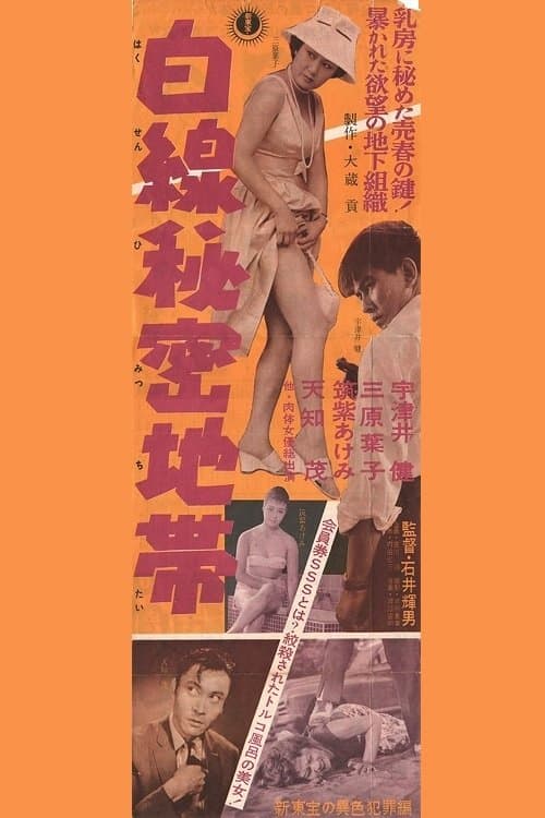 Poster Secret White Line Zone