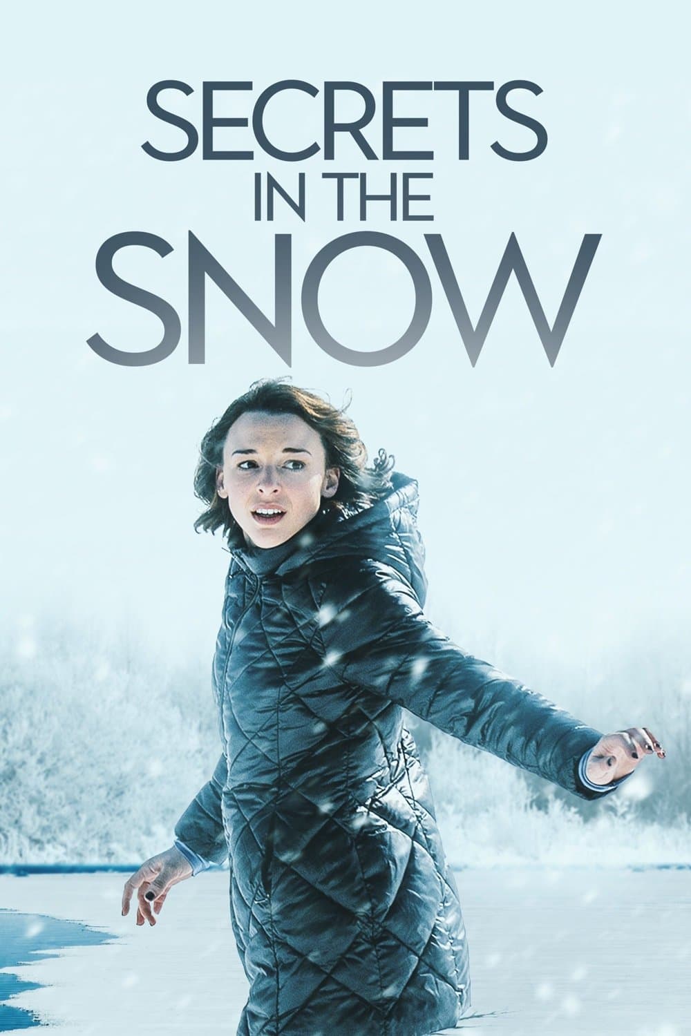Poster Secrets in the Snow