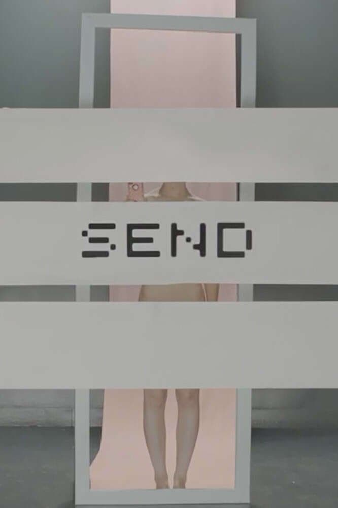 Poster Send