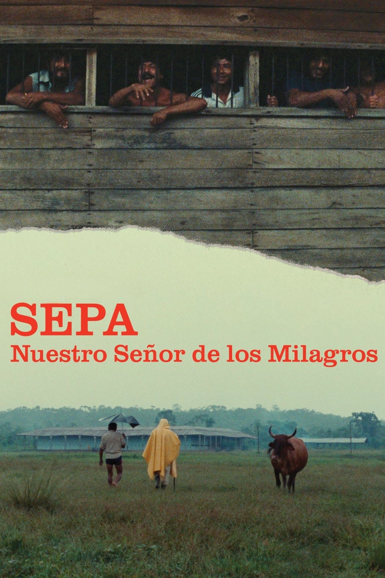 Poster Sepa: Our Lord of Miracles
