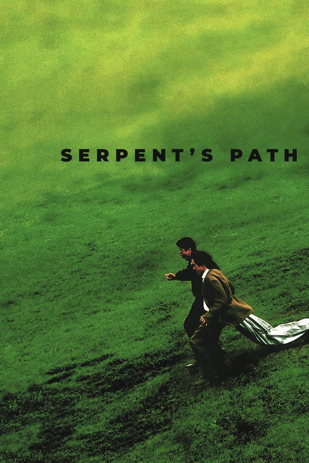 Poster Serpent's Path
