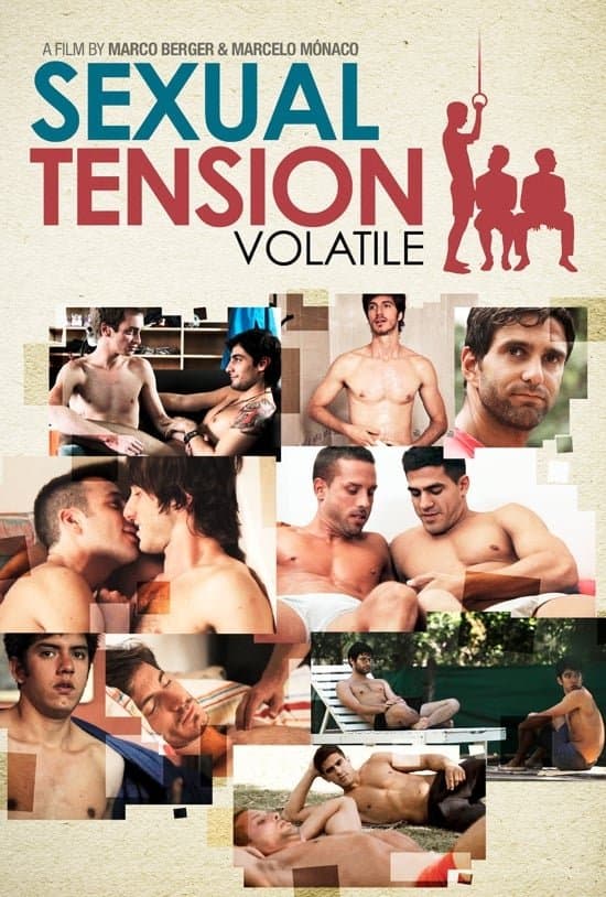 Poster Sexual Tension: Volatile