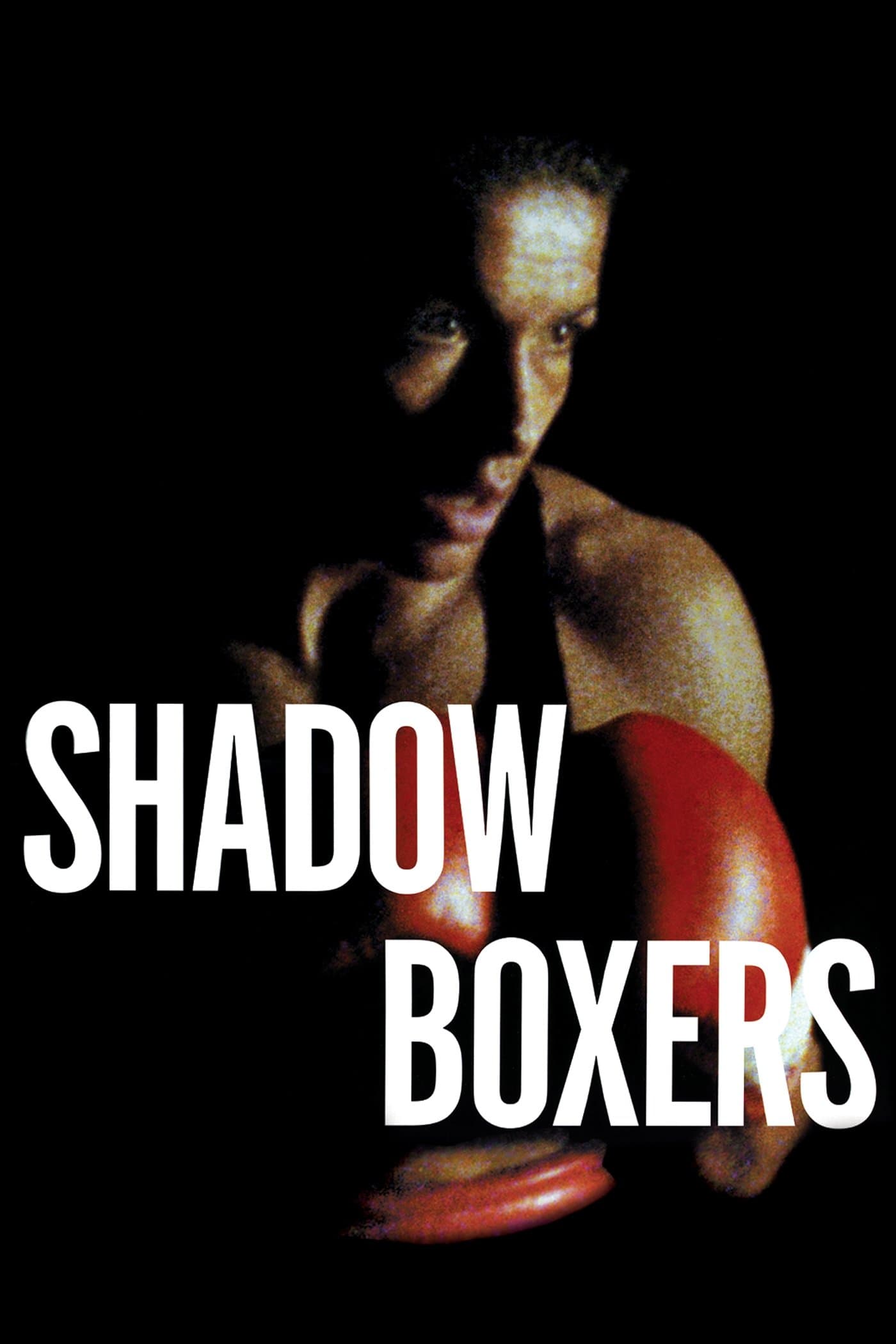 Poster Shadow Boxers