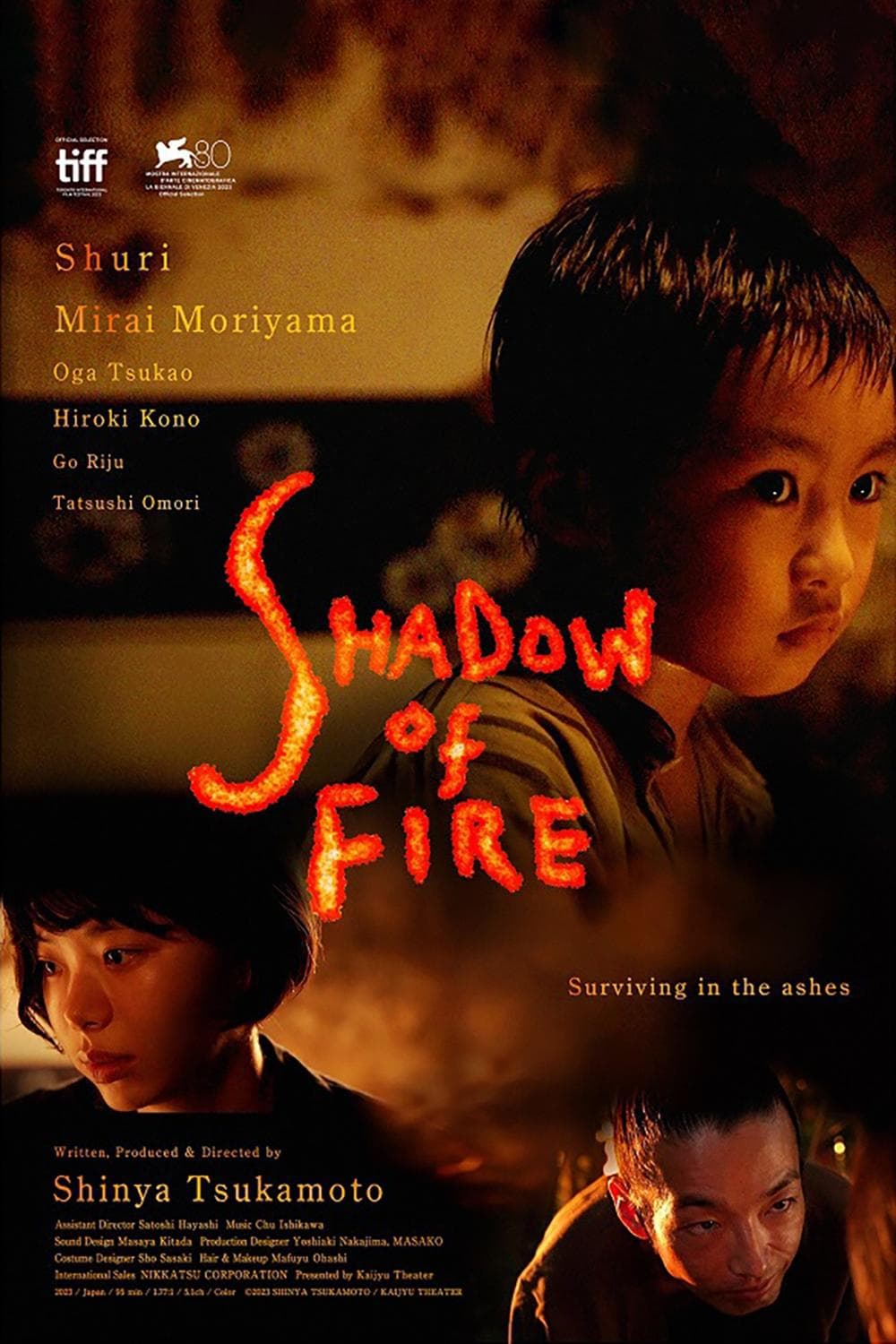 Poster Shadow of Fire