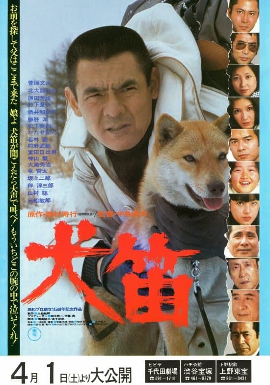 Poster Shag