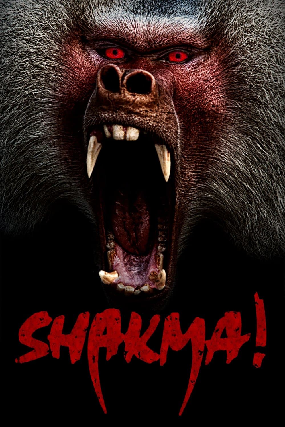 Poster Shakma
