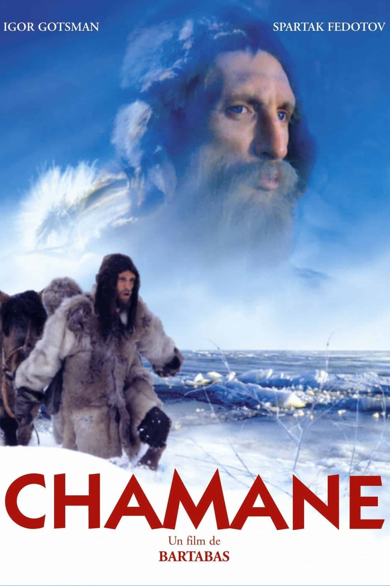 Poster Shaman