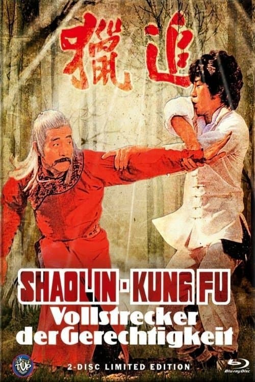 Poster Shaolin Kung Fu Master