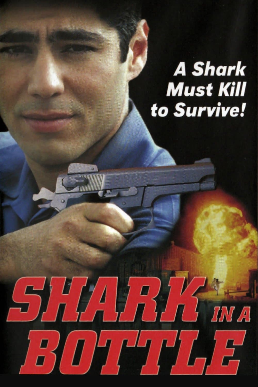Poster Shark in a Bottle