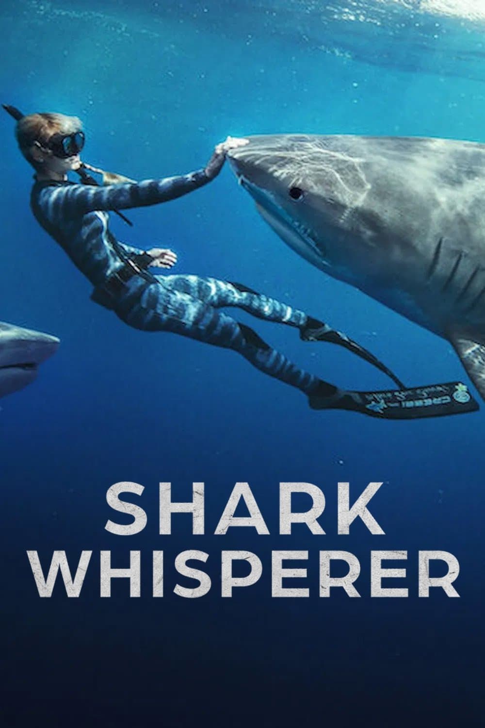Poster Shark Whisperer