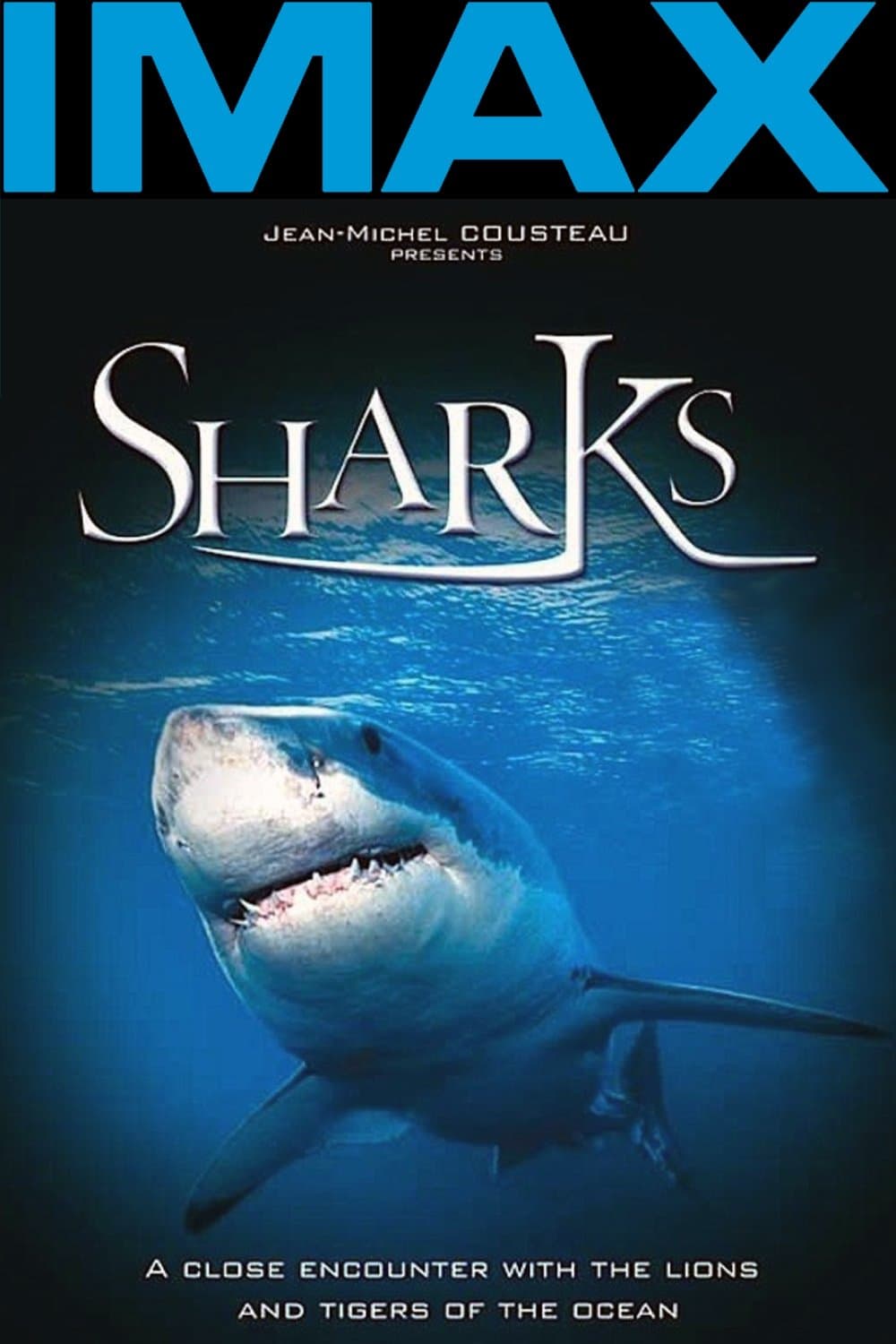 Poster Sharks 3D