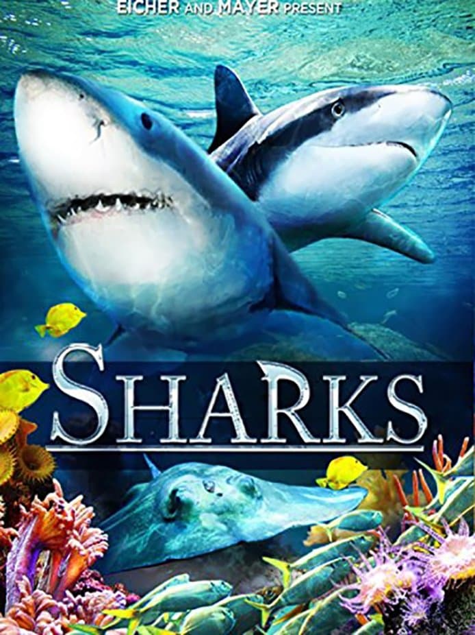 Poster Sharks (in 3D)