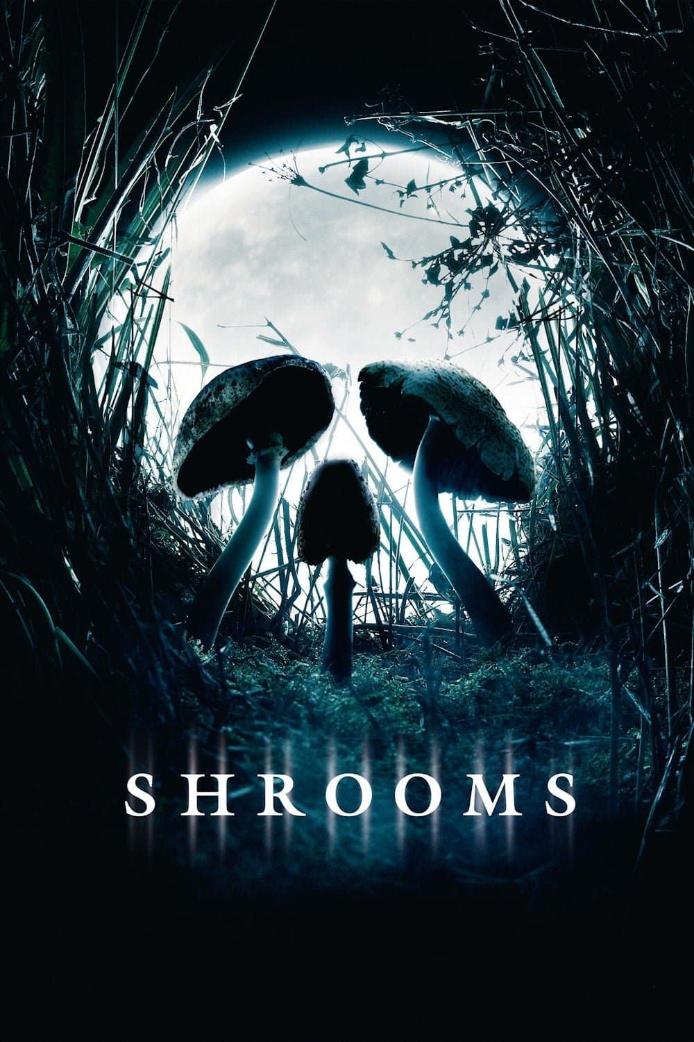 Poster Shrooms