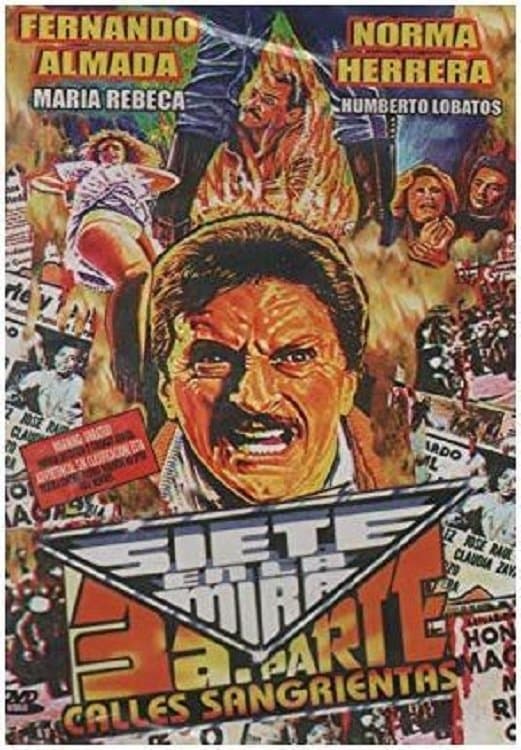 Poster Siete en la Mira 3