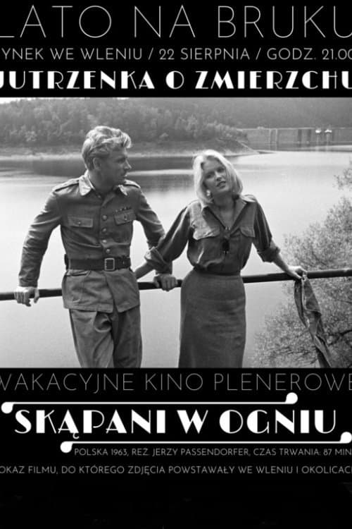 Poster Skąpani w ogniu