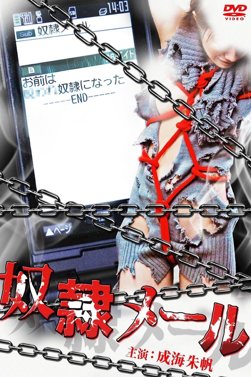 Poster Slave Mail