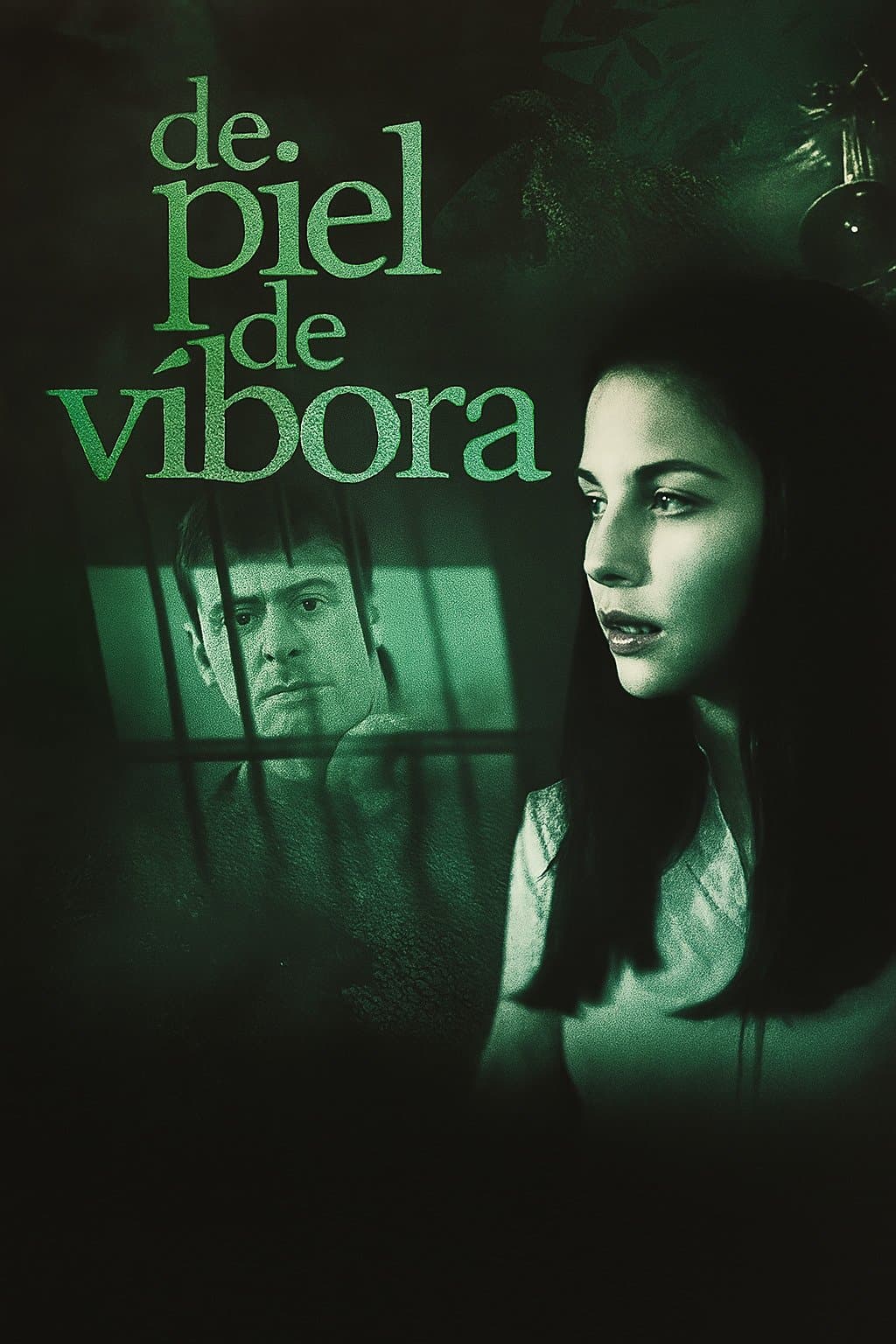 Poster Snake Skin