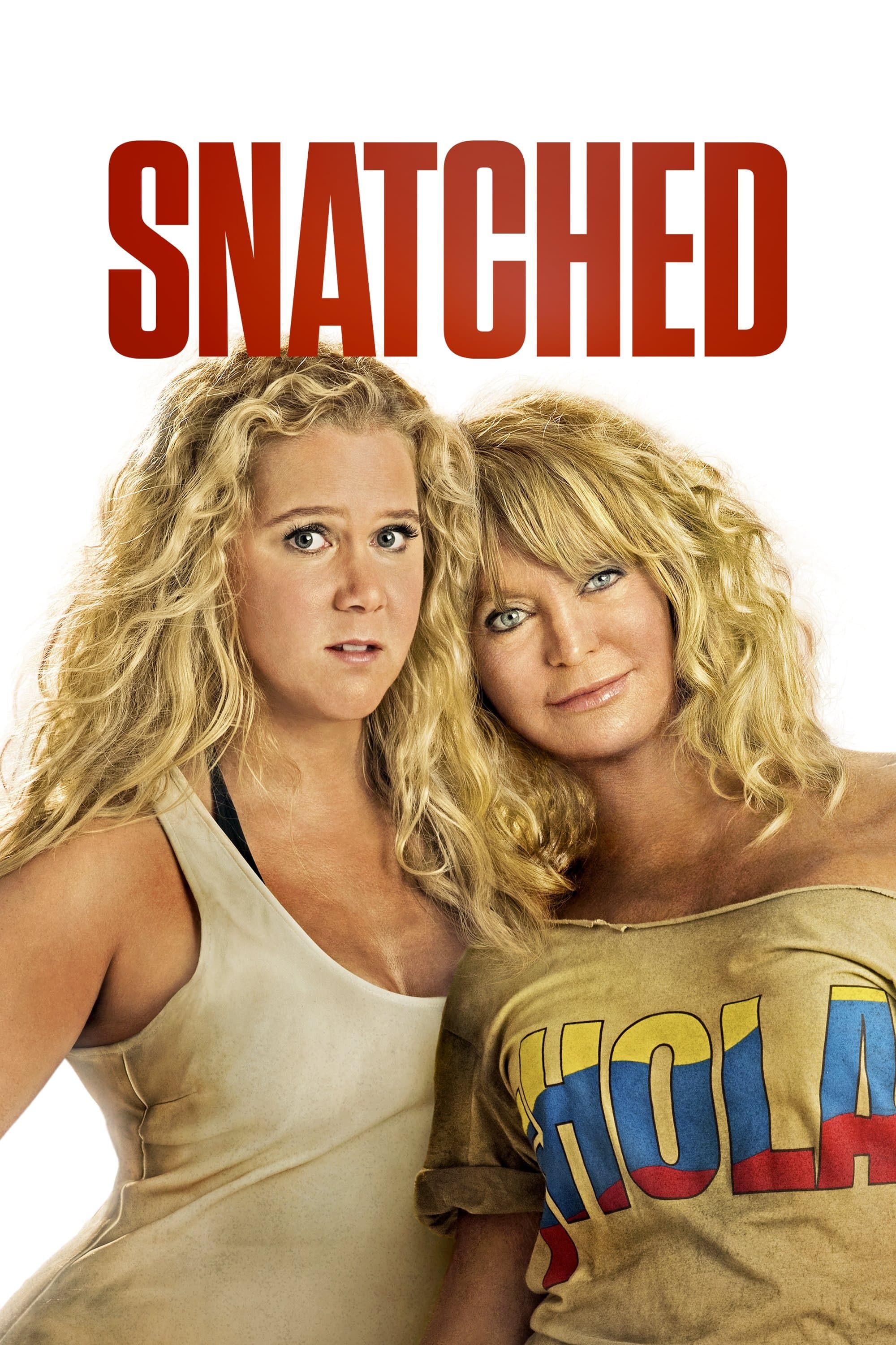Poster Snatched