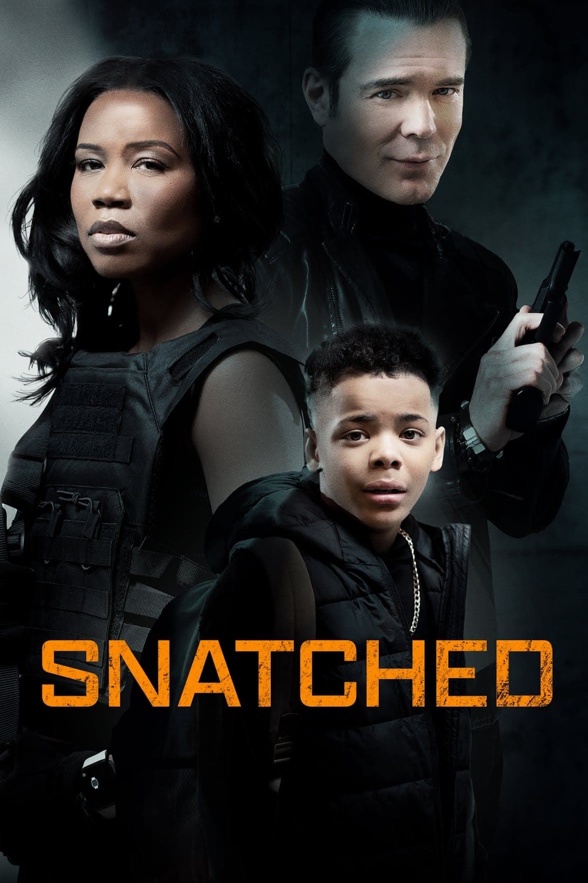 Poster Snatched