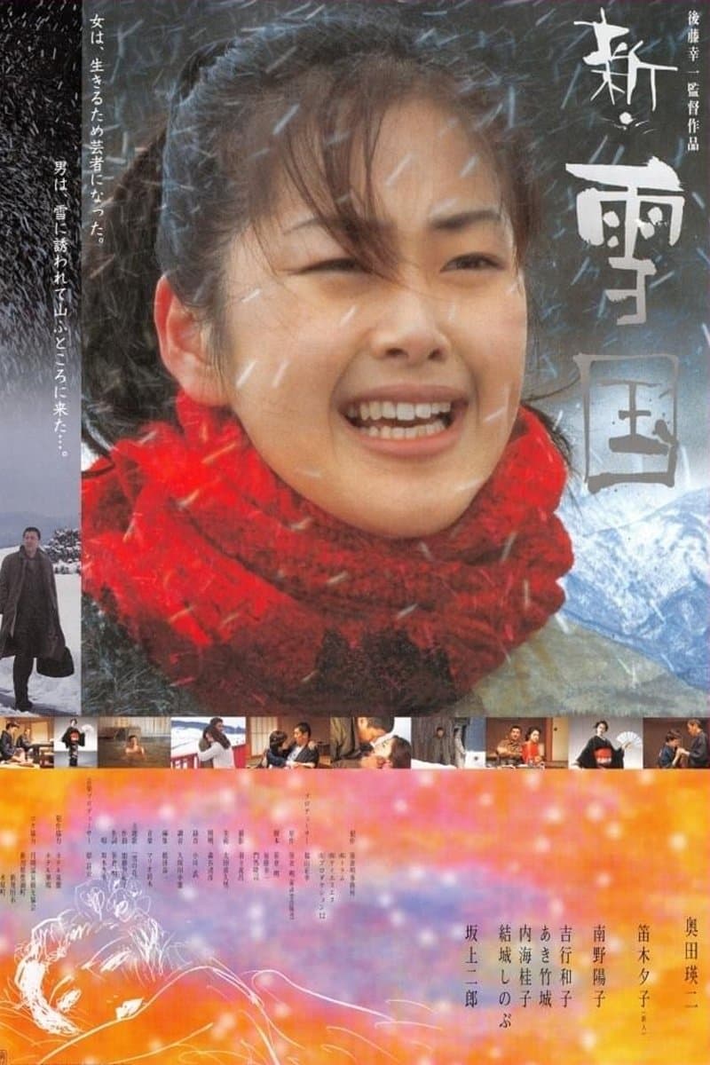 Poster Snowland Revisited