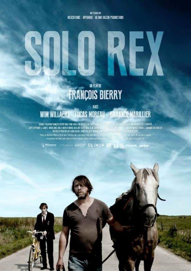 Poster Solo Rex