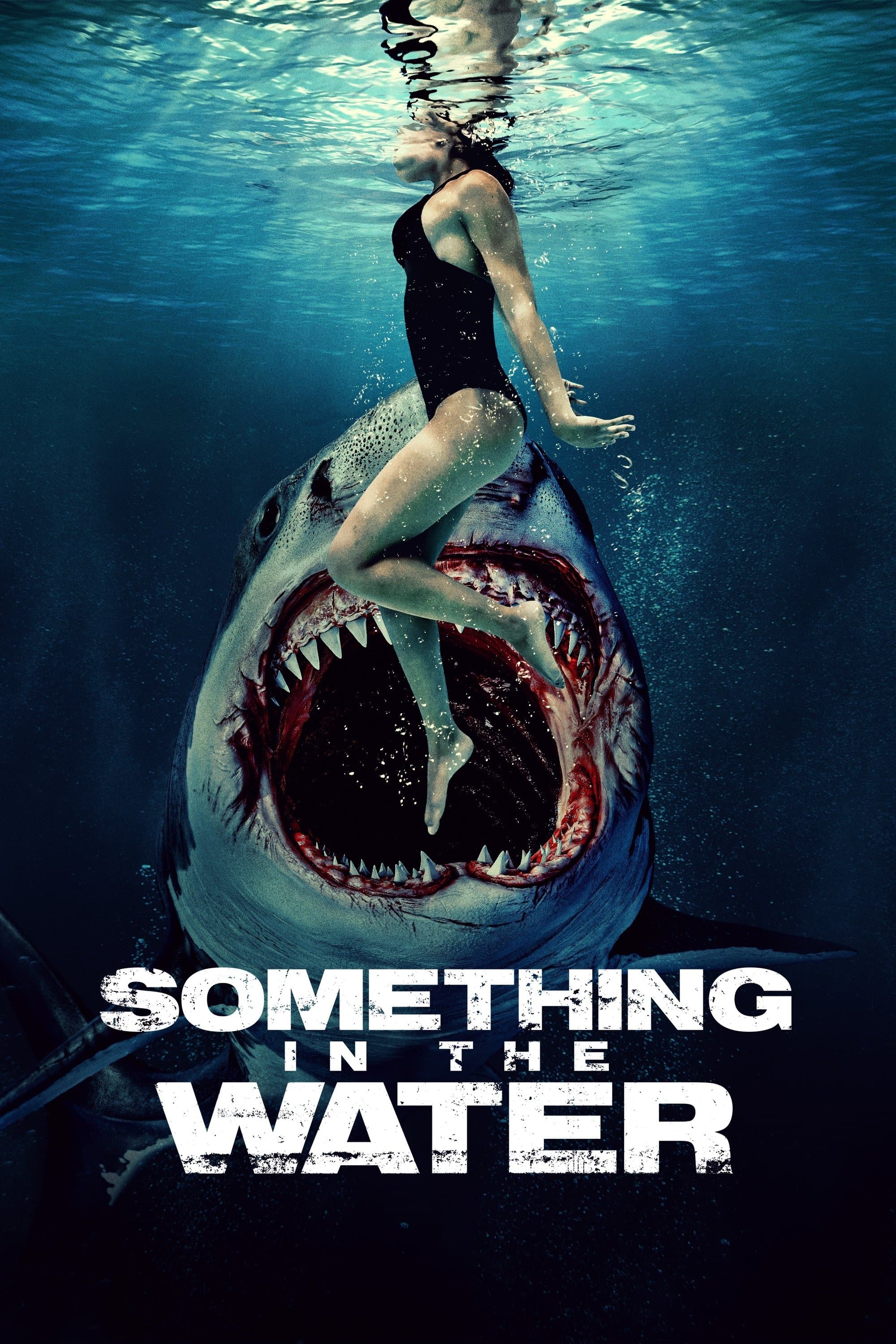 Poster Something in the Water