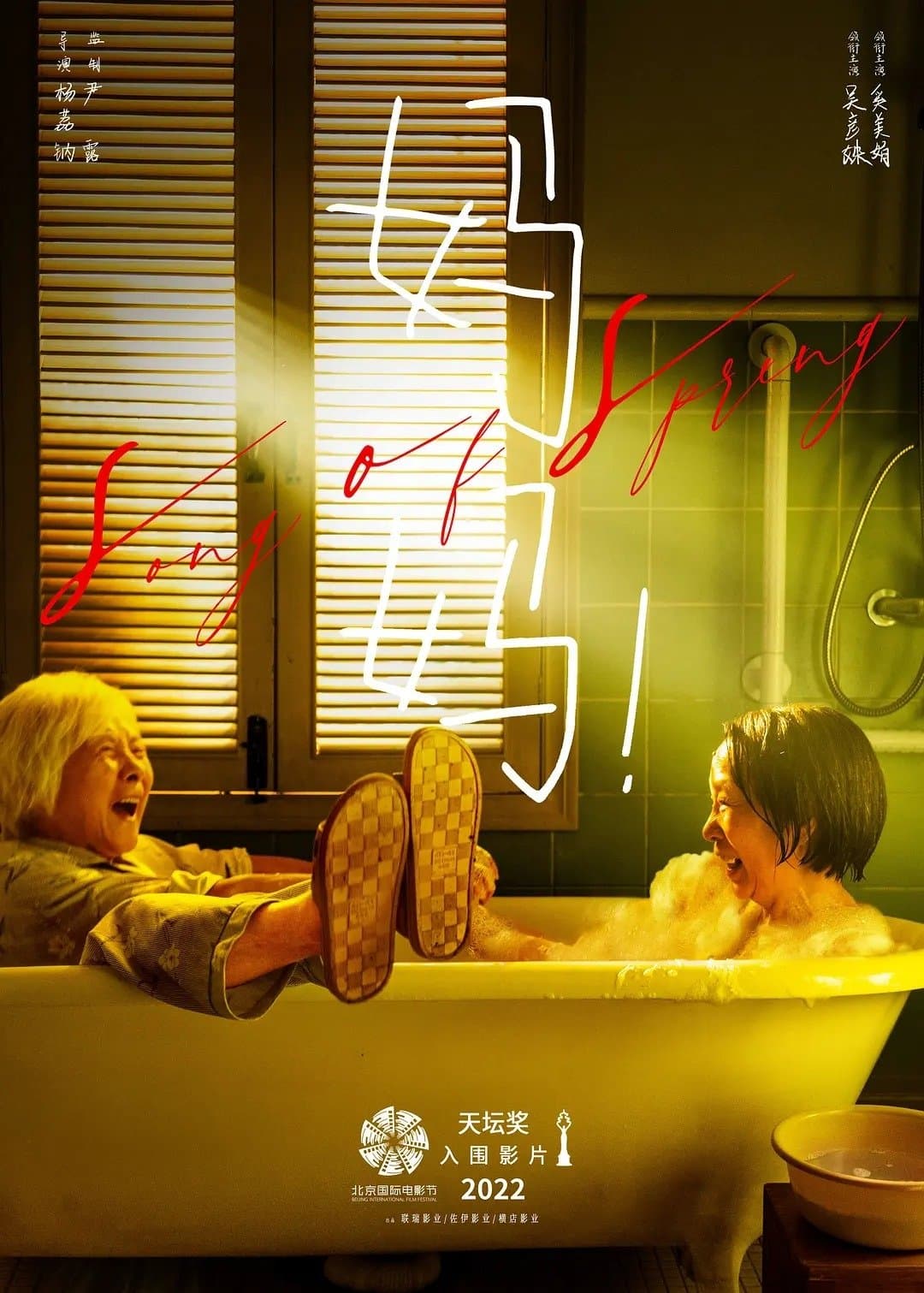 Poster Song of Spring