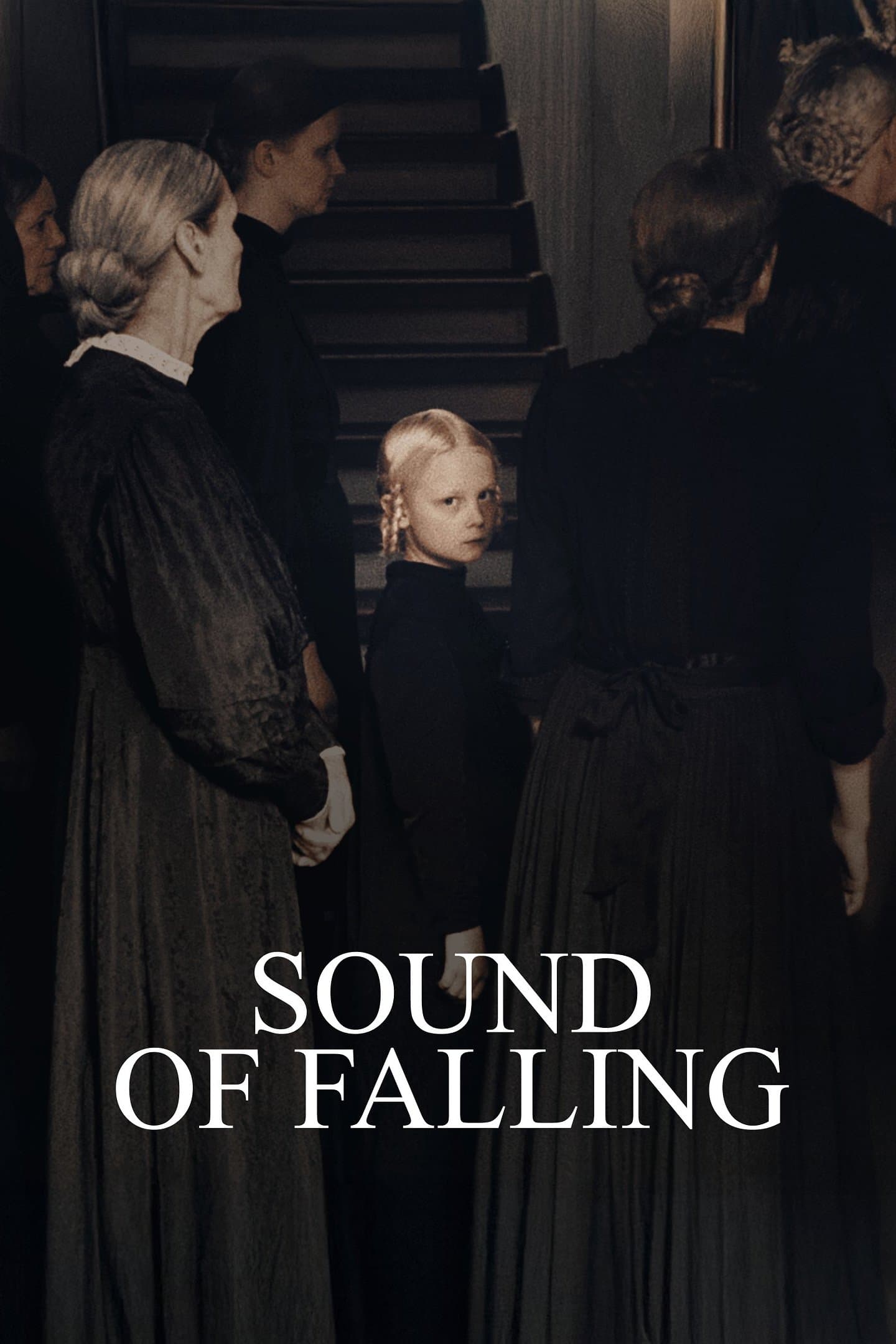 Poster Sound of Falling