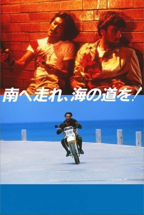 Poster South to the Horizon