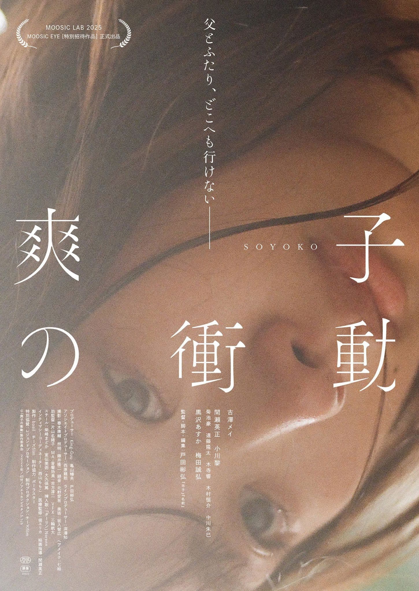 Poster Soyoko