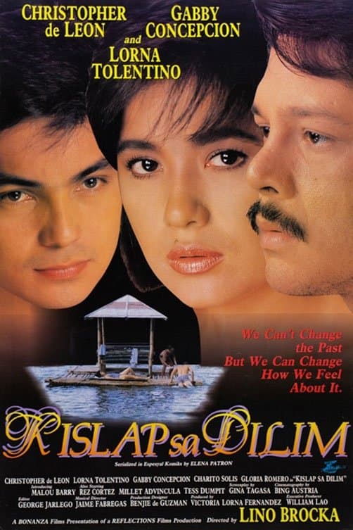 Poster Spark in the Dark