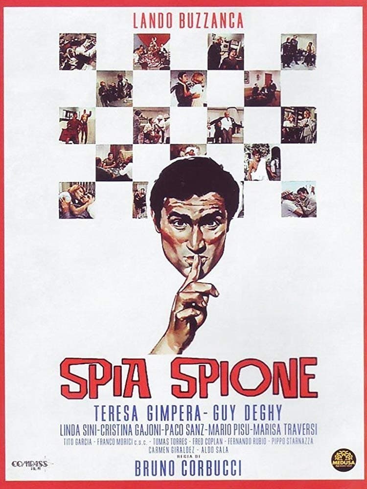 Poster Spia spione