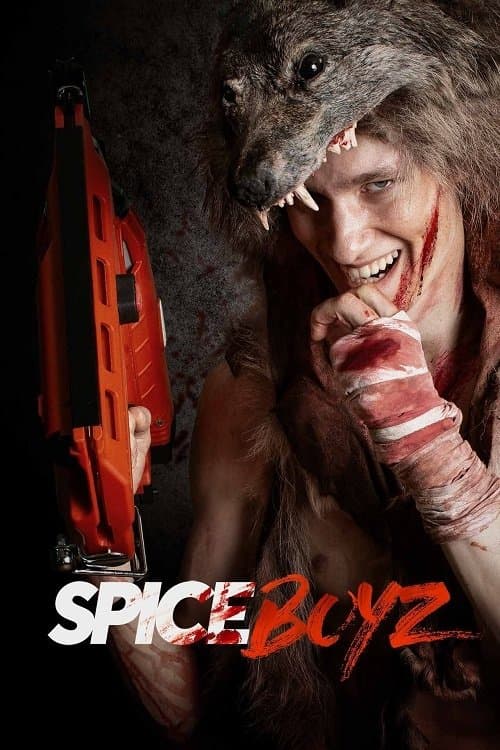Poster Spice Boyz
