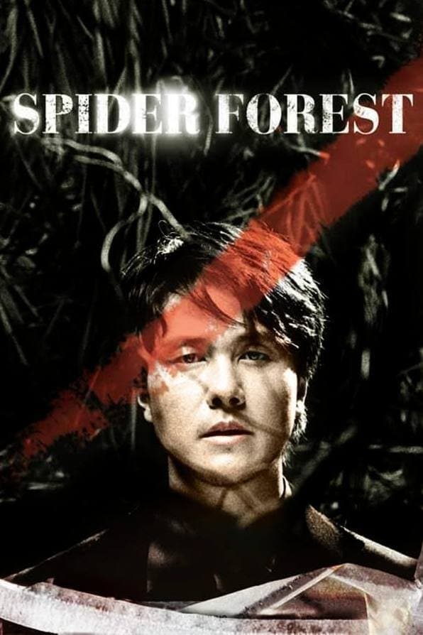Poster Spider Forest