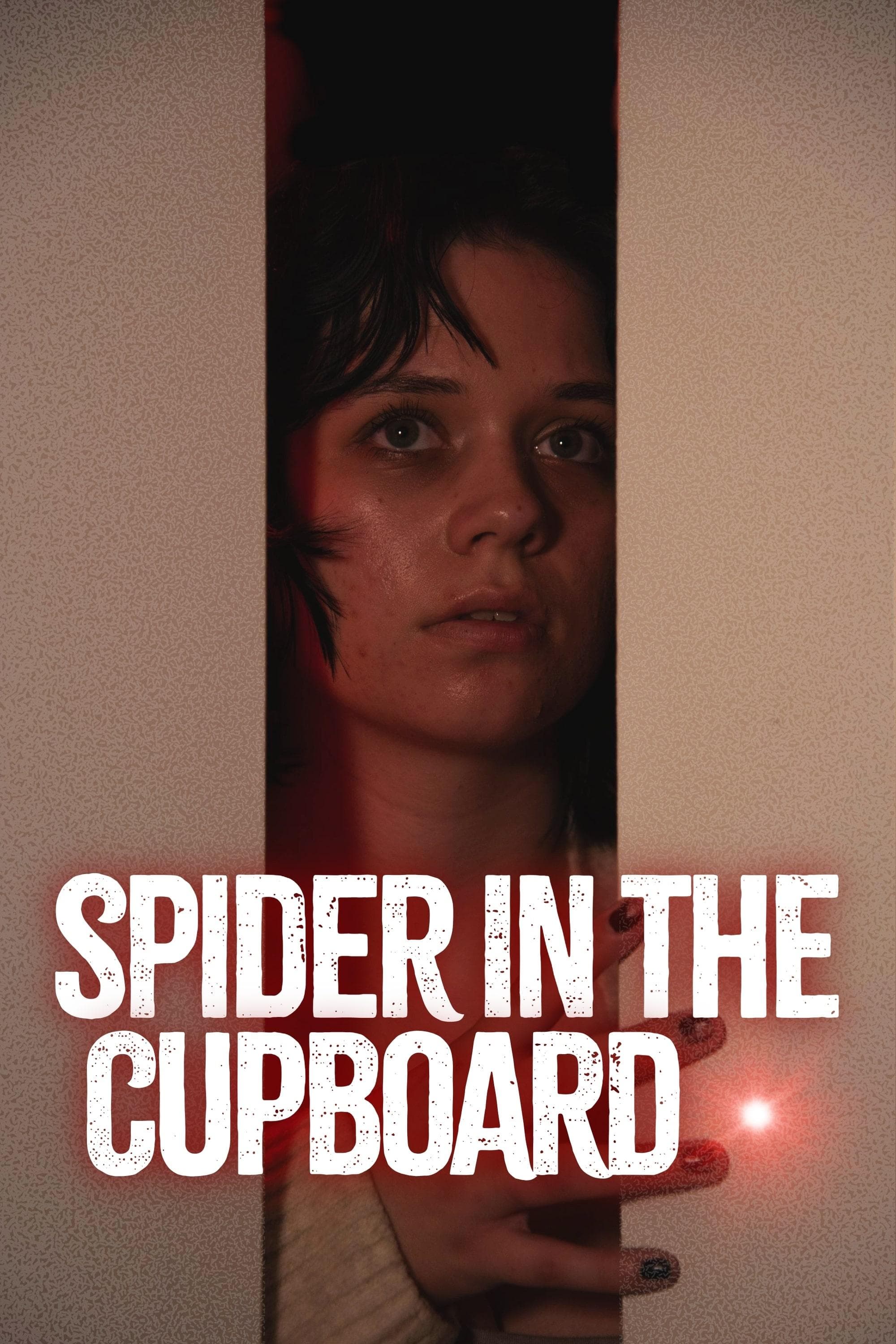 Poster Spider in the Cupboard